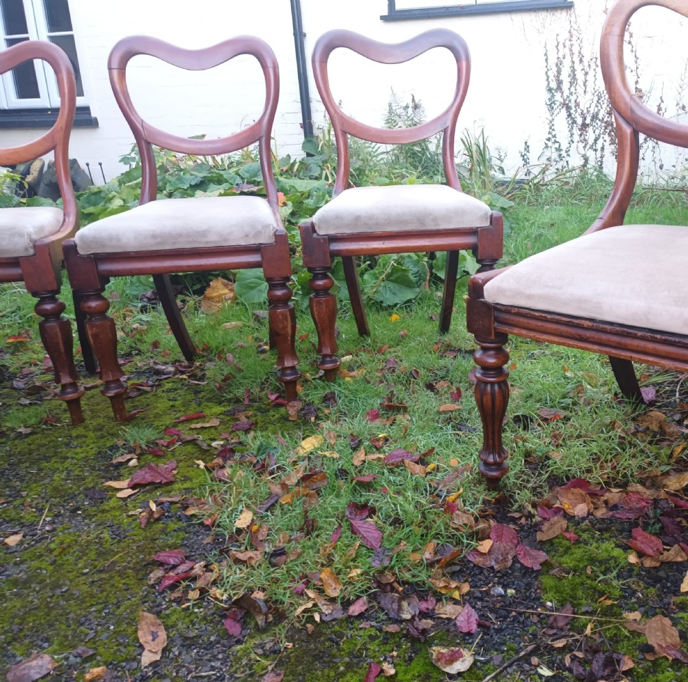 6 early Victorian mahogany dining chairs.  View VII