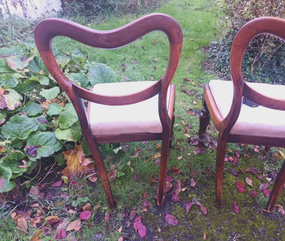 6 early Victorian mahogany dining chairs.  View X