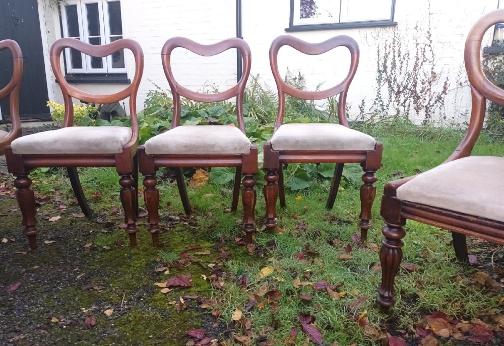 6 early Victorian mahogany dining chairs.  View XI