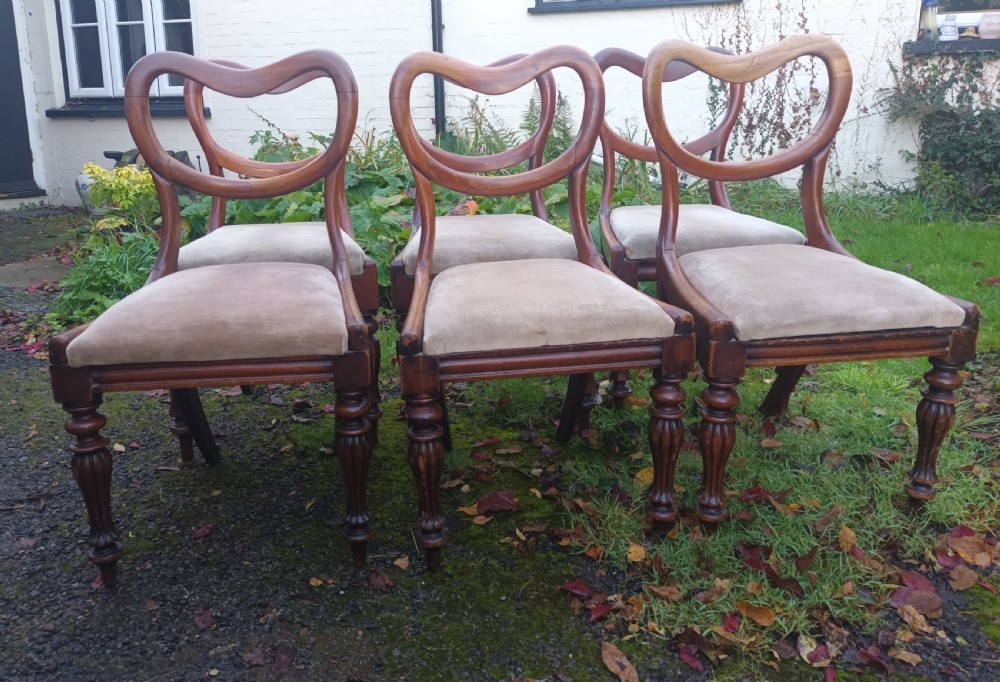 6 early Victorian mahogany dining chairs.  View XII