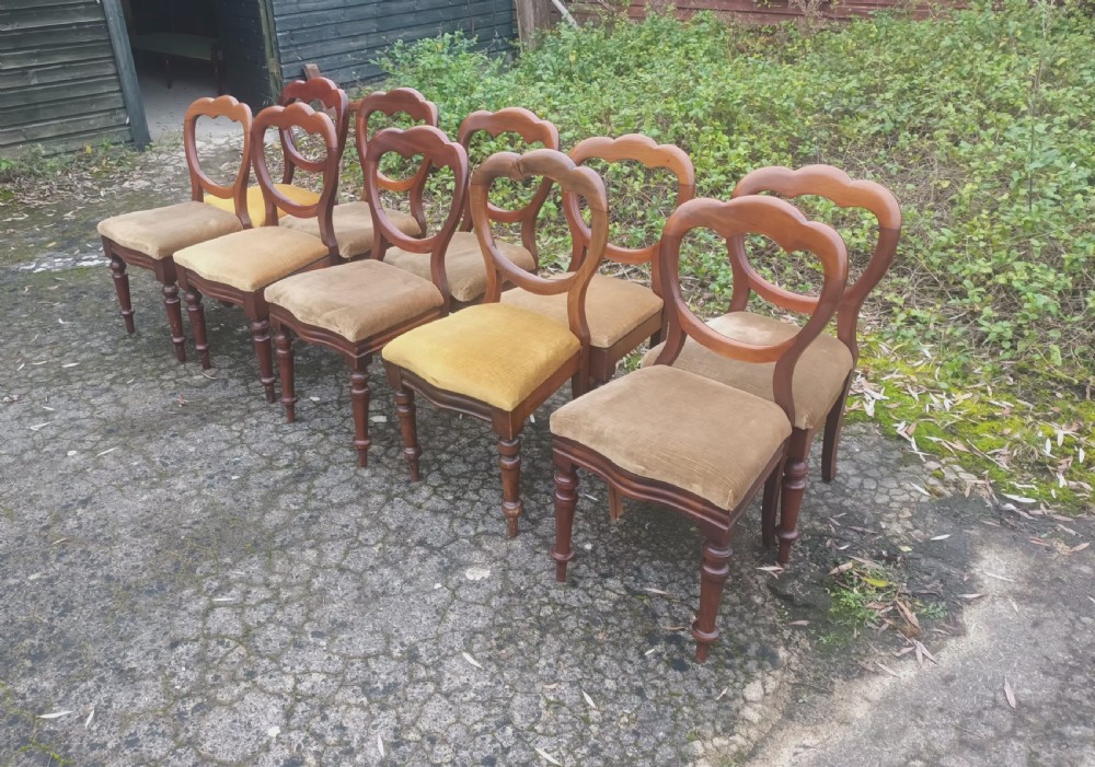 10 late Victorian dining chairs View VI