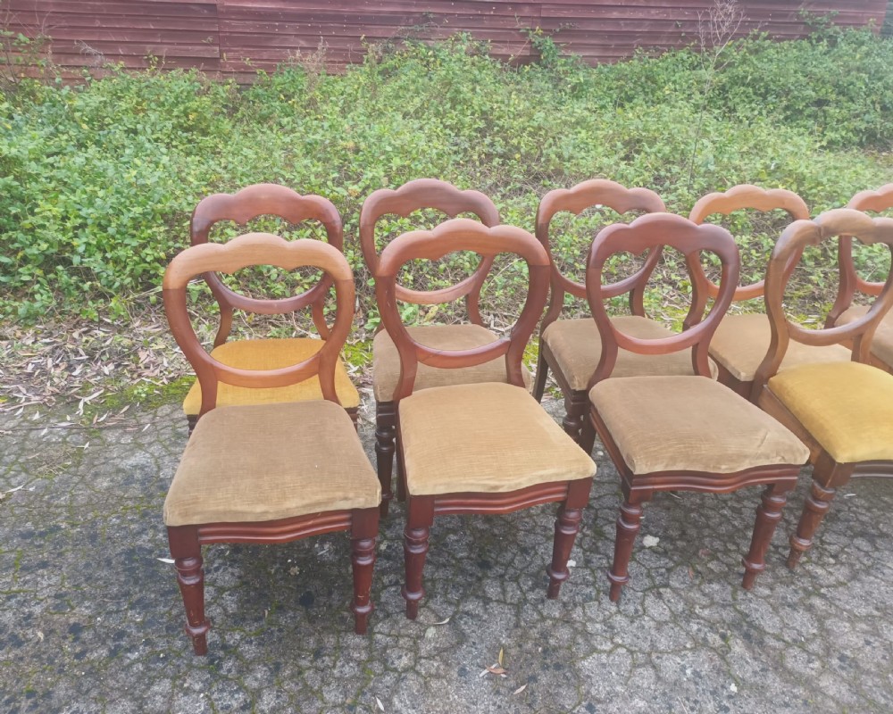 10 late Victorian dining chairs View VII