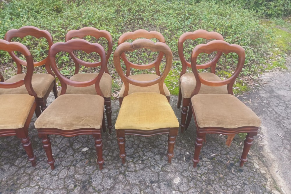 10 late Victorian dining chairs View VIII