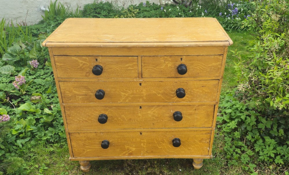 Victorian original painted pine chest of drawers.