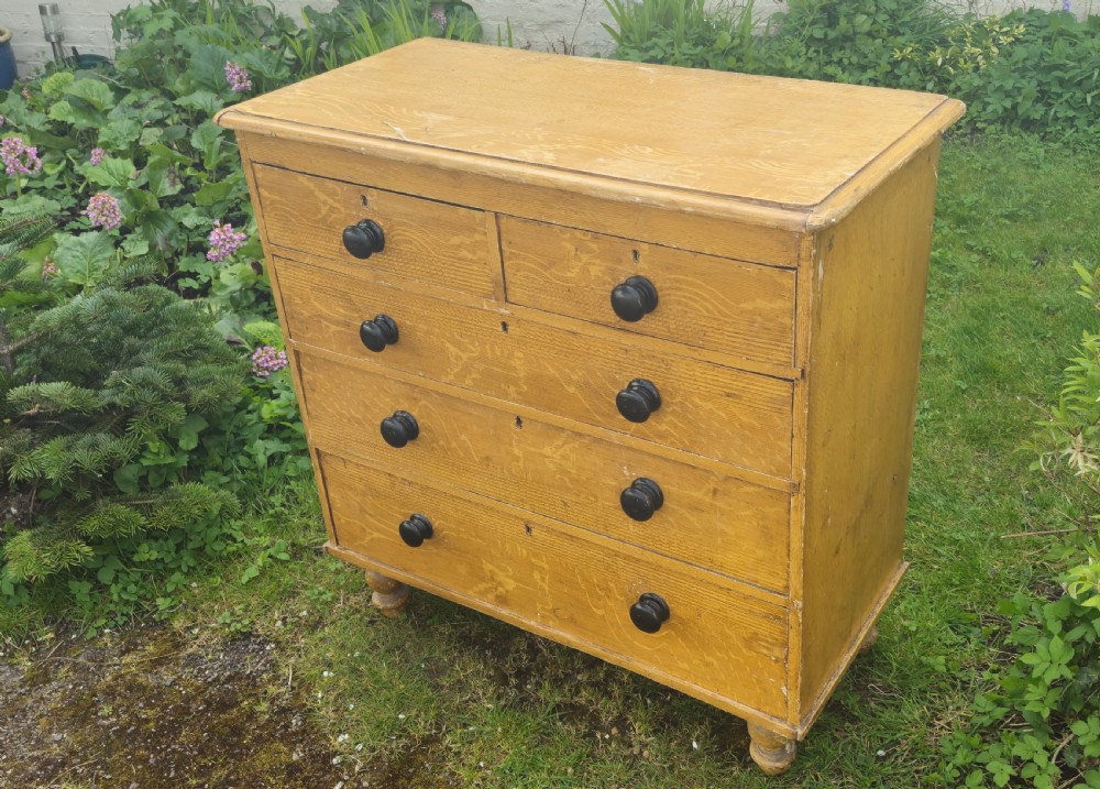 Victorian original painted pine chest of drawers. View VIII