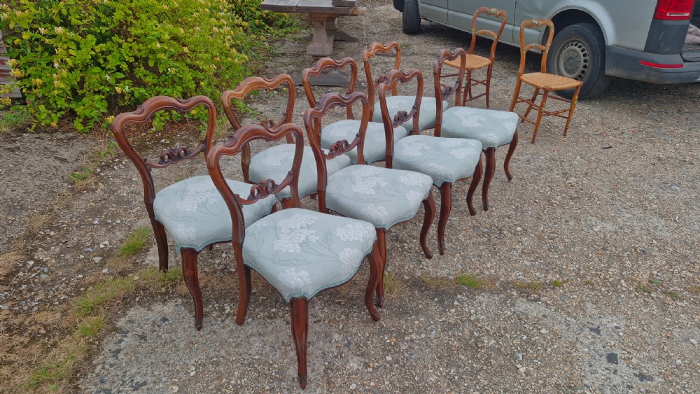 Set of 8 mid 19th century rosewood chairs. View II