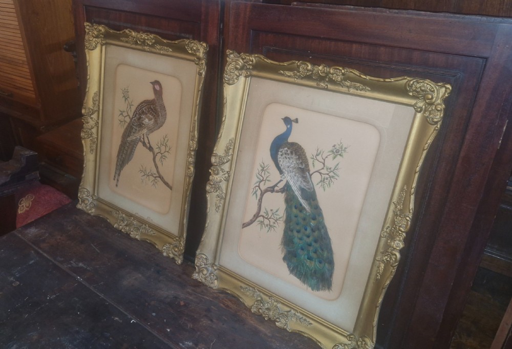 Pair of Late Victorian painted and feather pictures of birds  View VII