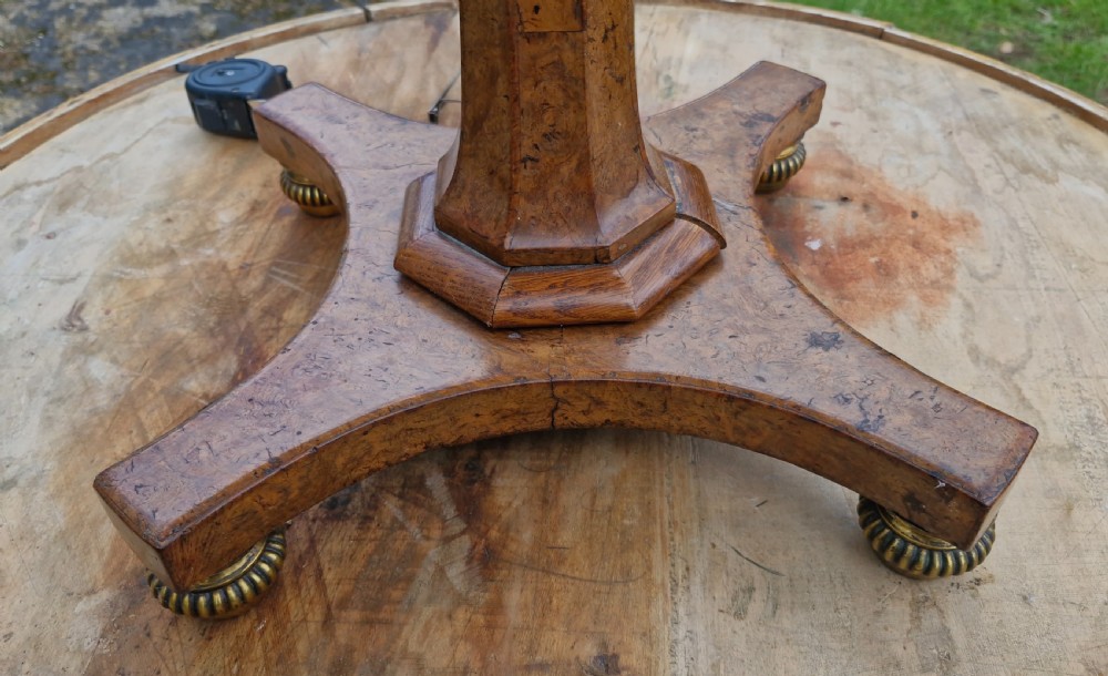 Delightful Regency burr pedestal occasional table. View IV