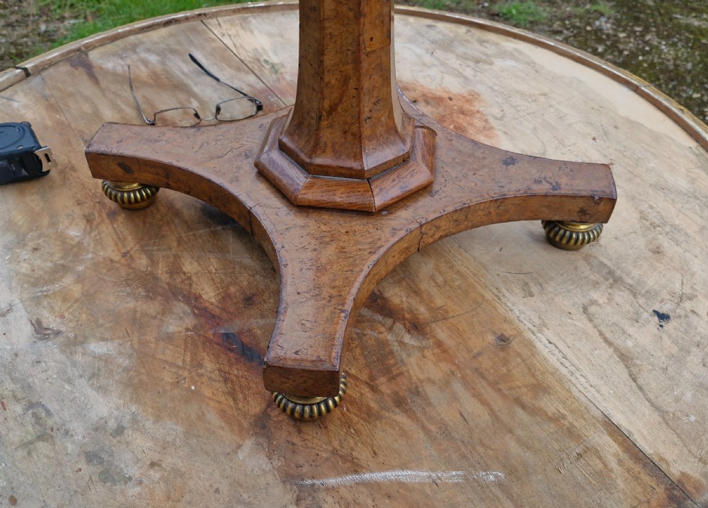 Delightful Regency burr pedestal occasional table. View XIV