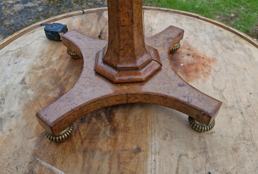 Delightful Regency burr pedestal occasional table. View XV
