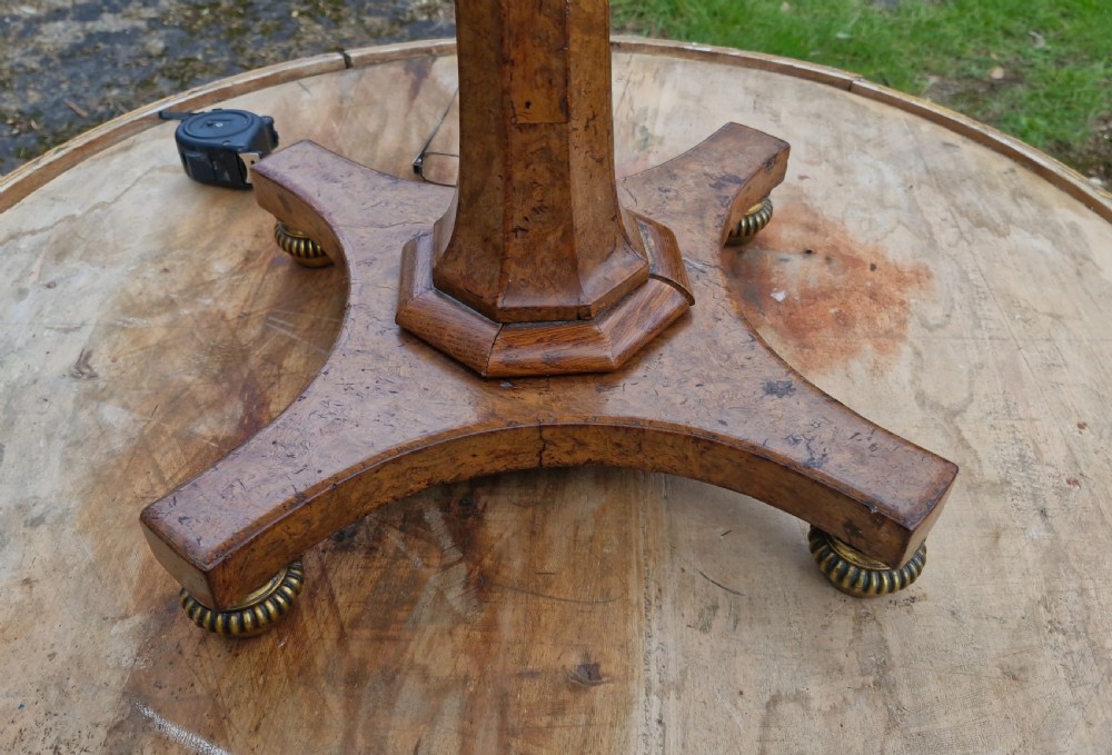 Delightful Regency burr pedestal occasional table. View XVI