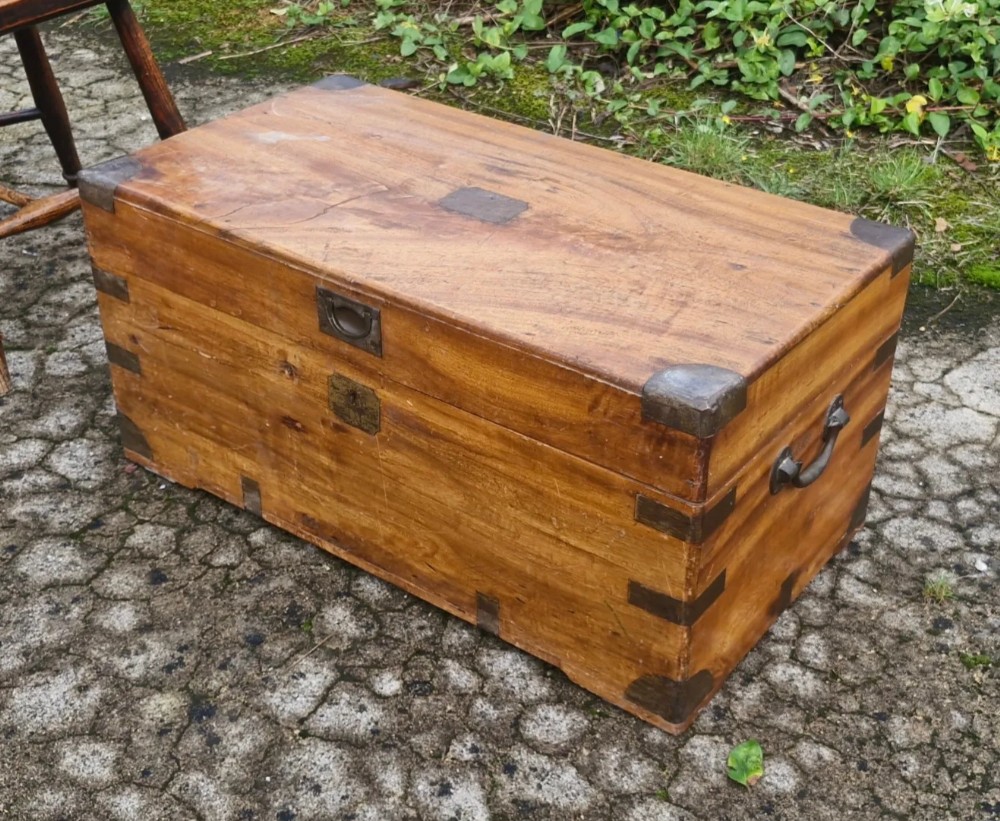 Camphorwood trunk.
