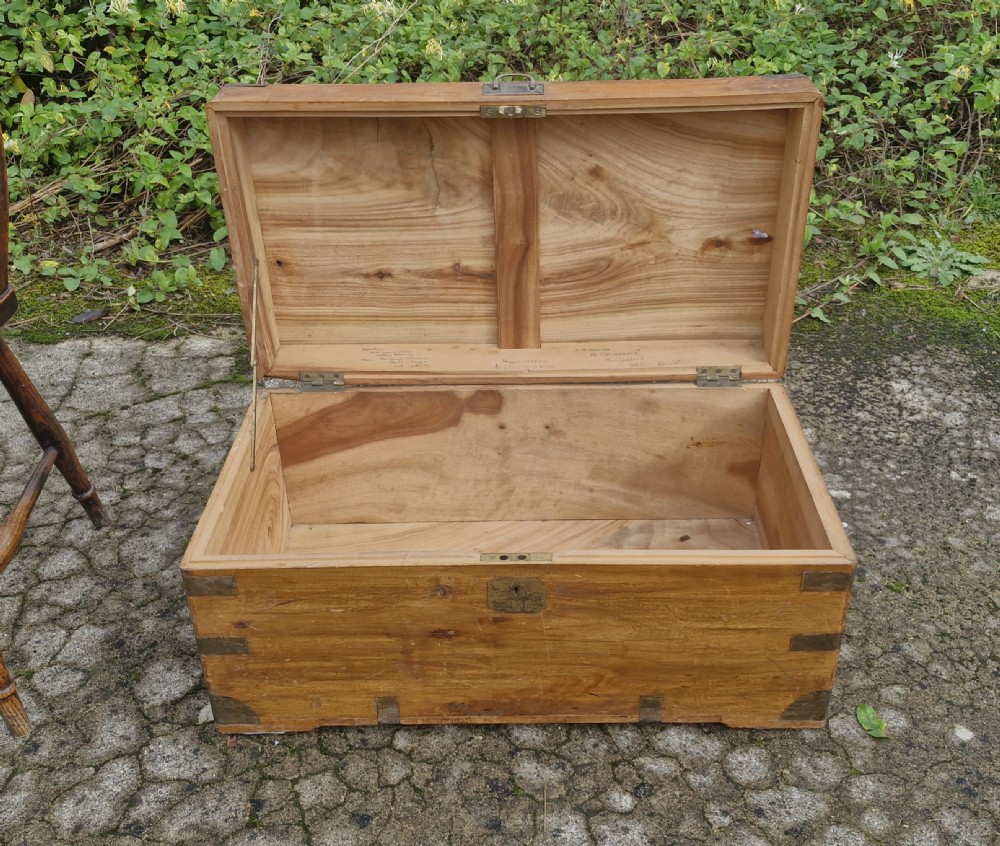 Camphorwood trunk. View IV