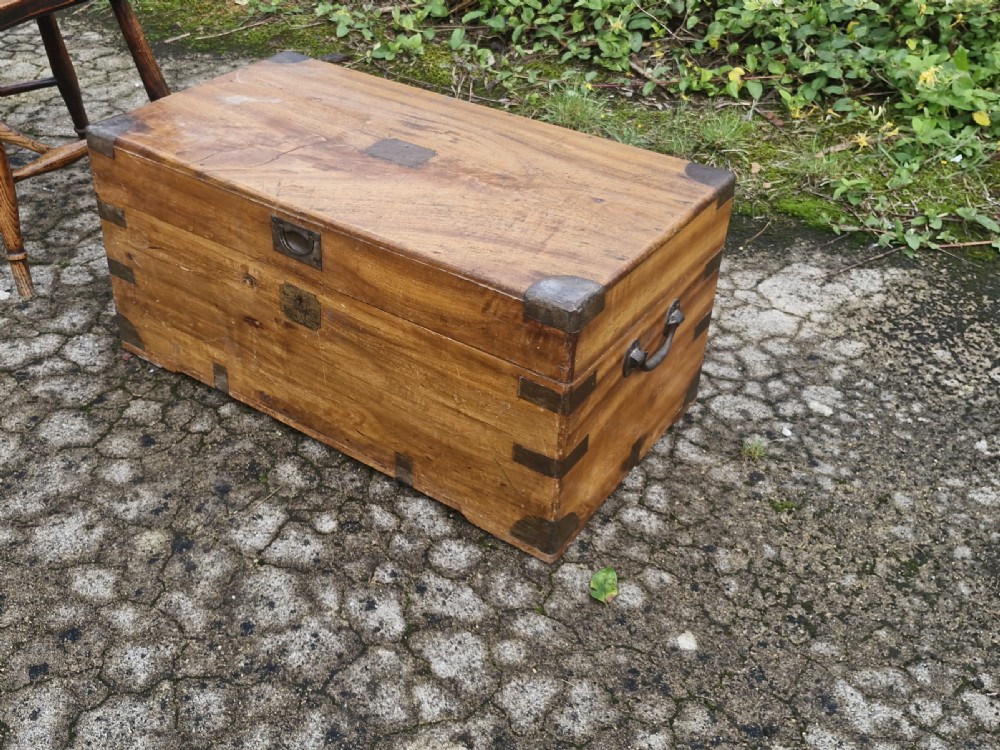 Camphorwood trunk. View VIII