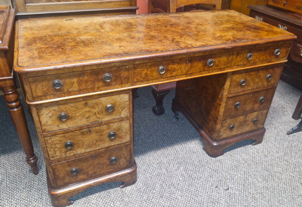 Victorian burr walnut kneehole pedestal writing desk. 