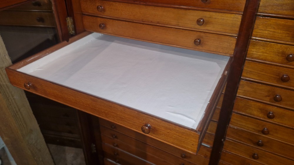 Late Victorian specimen cabinet  View XI