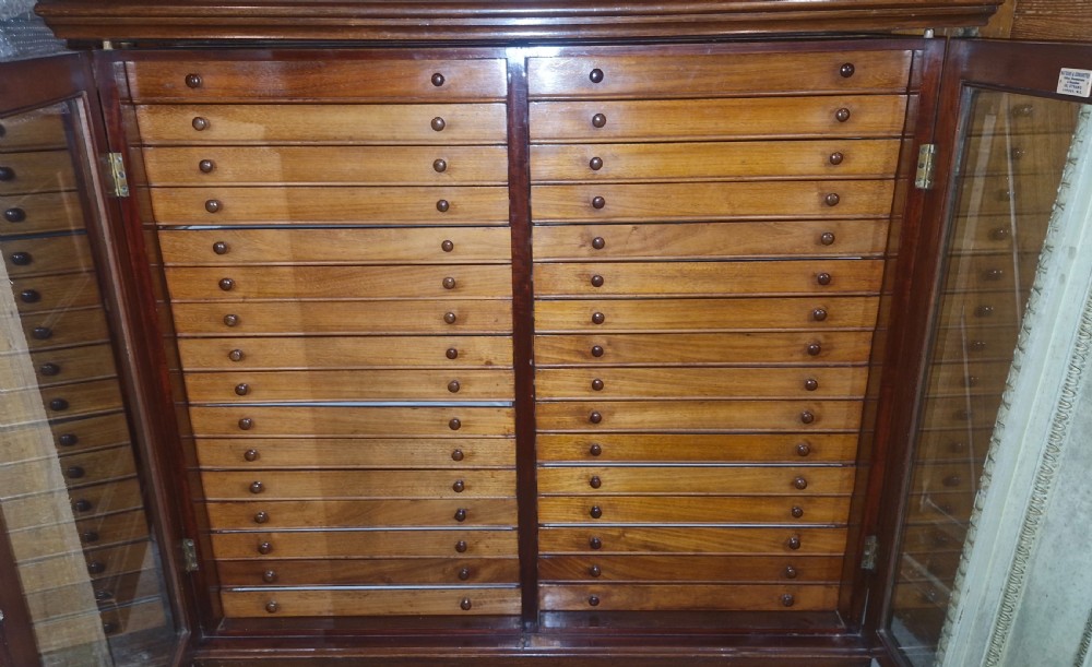 Late Victorian specimen cabinet  View XIII