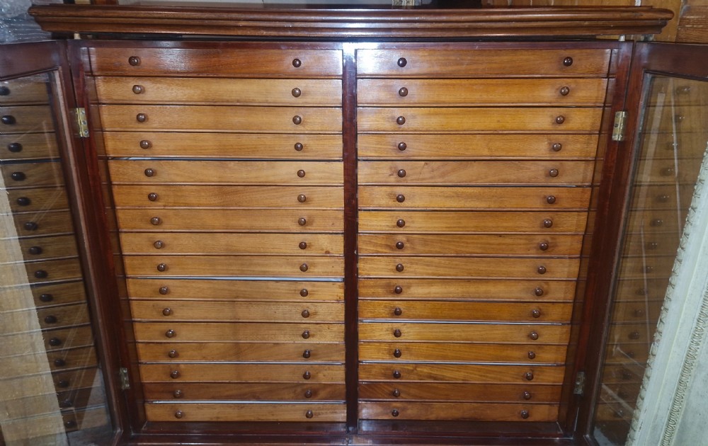 Late Victorian specimen cabinet  View XIV
