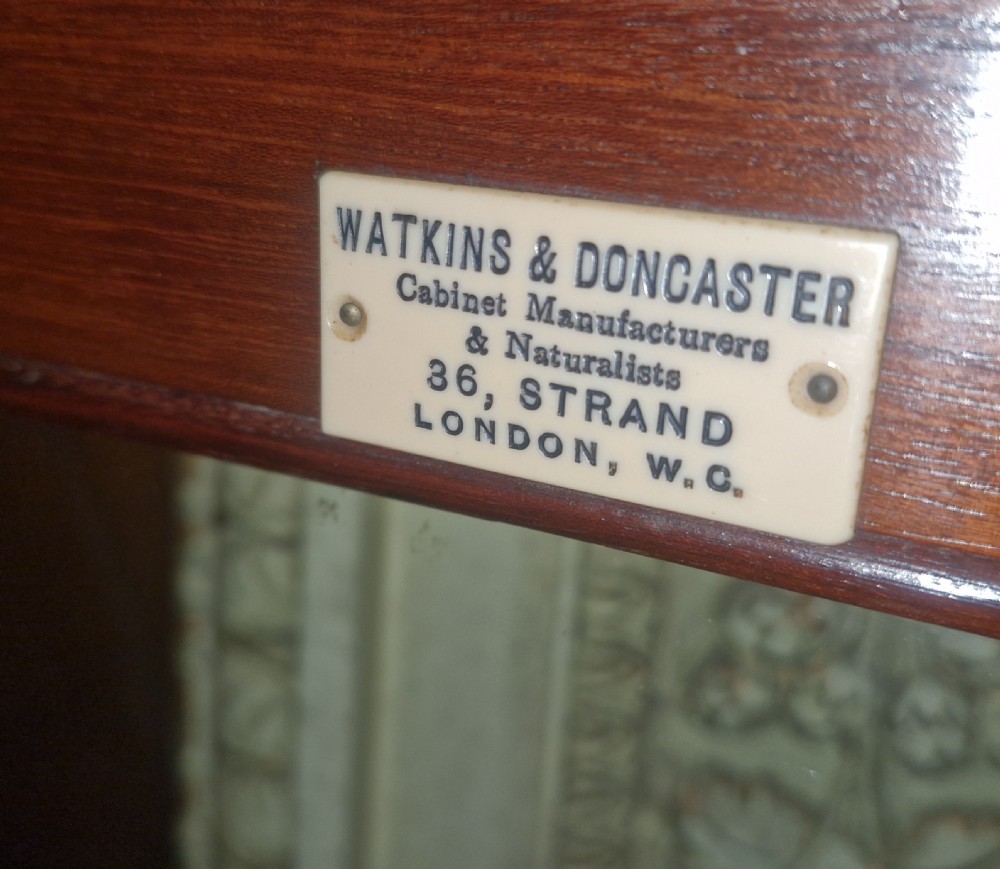 Late Victorian specimen cabinet  View XV