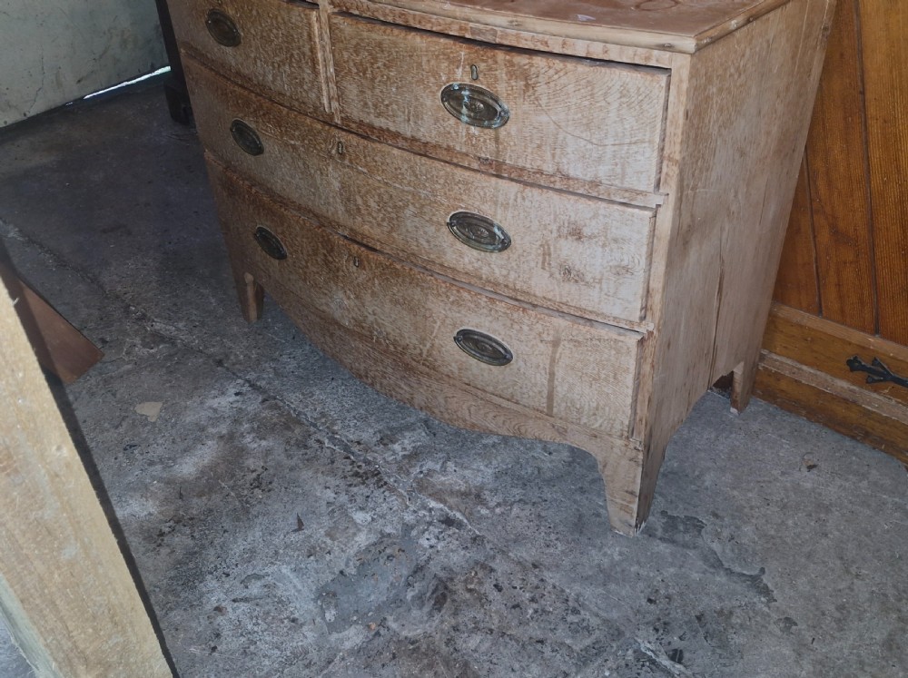 Regency solid pine  bow front chest of drawers.  View IX