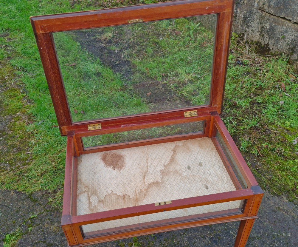 Edwardian inlaid Satinwood bijouterie display table.  View IX