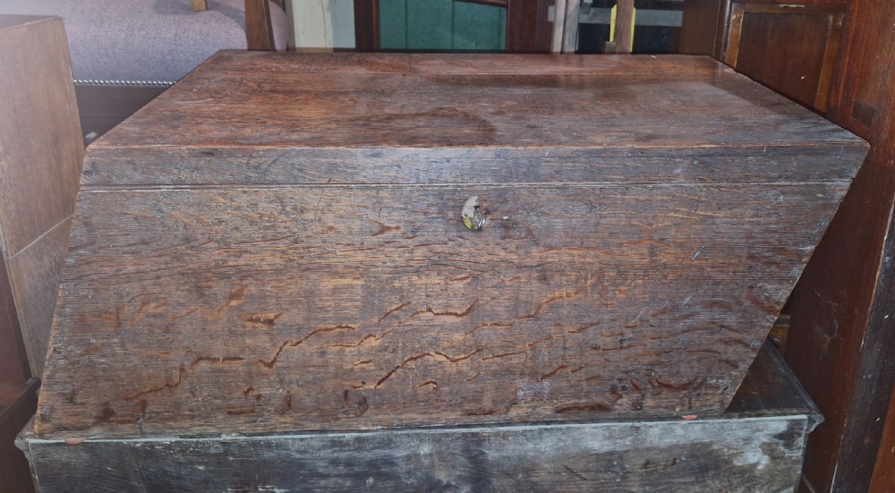 Rare Regency oak coaching trunk - great coffee table.  View III
