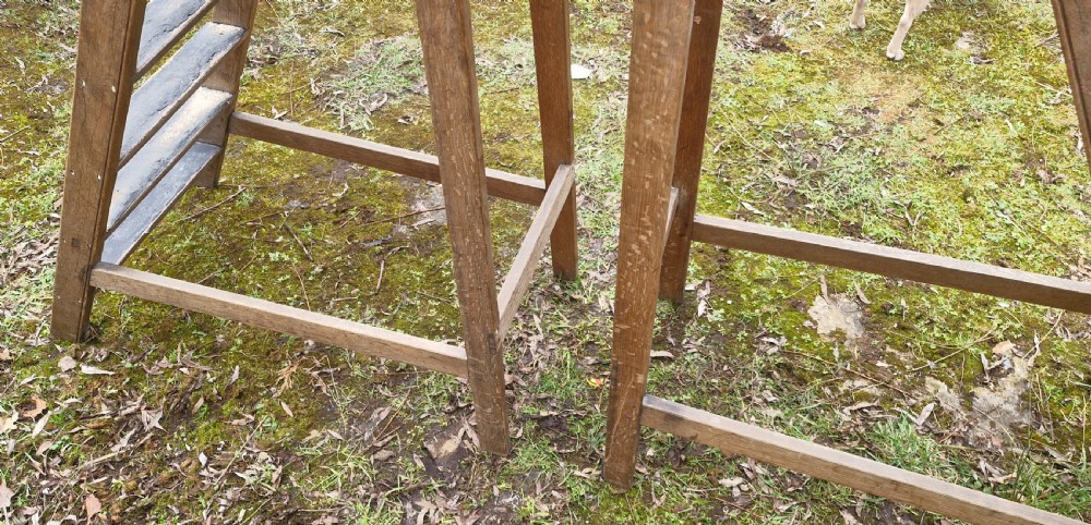 Pair of Edwardian oak library steps - missing the poles.  View III