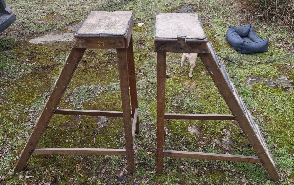 Pair of Edwardian oak library steps - missing the poles.  View VI