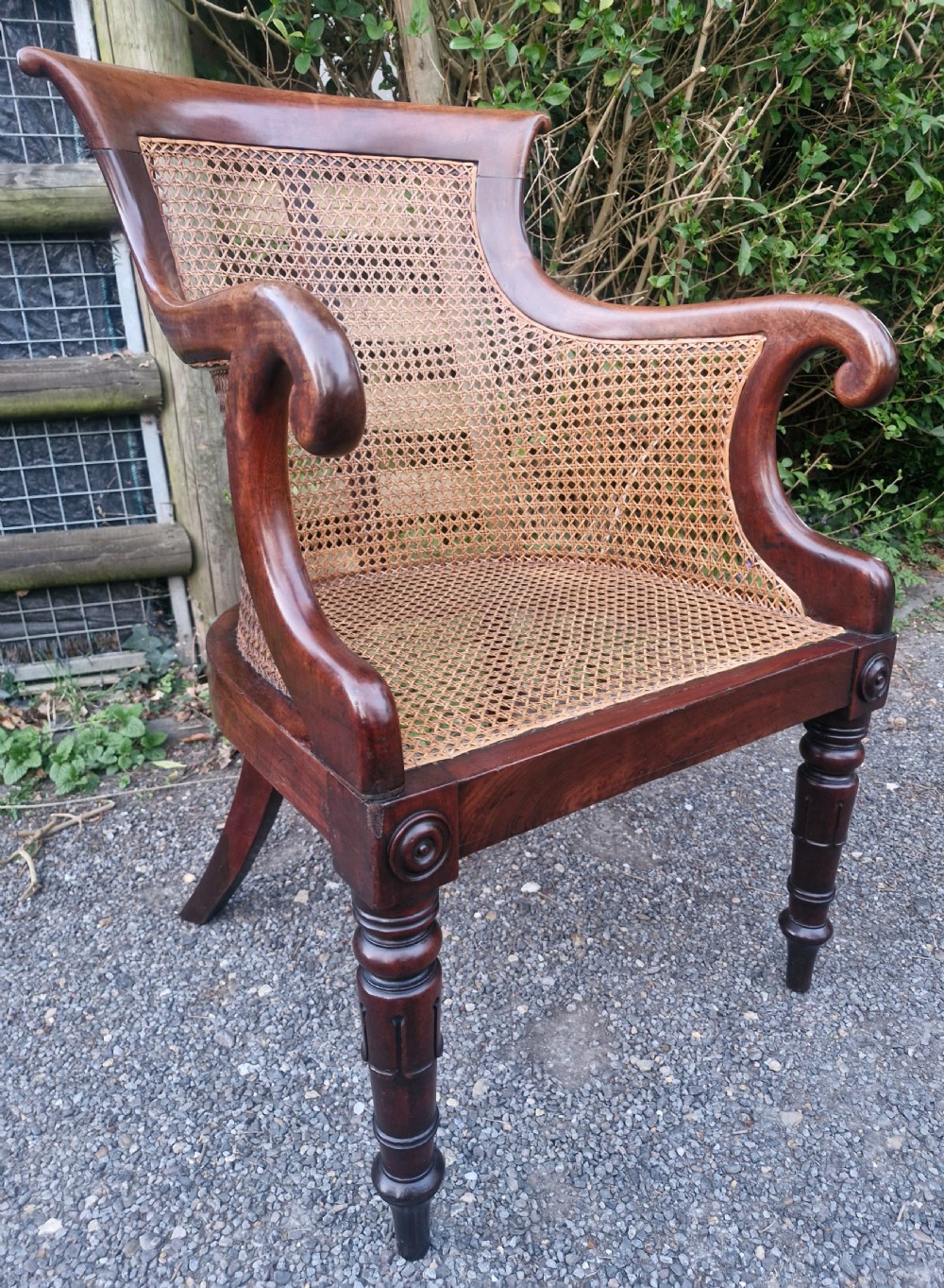 Regency mahogany bergere library armchair.  View II