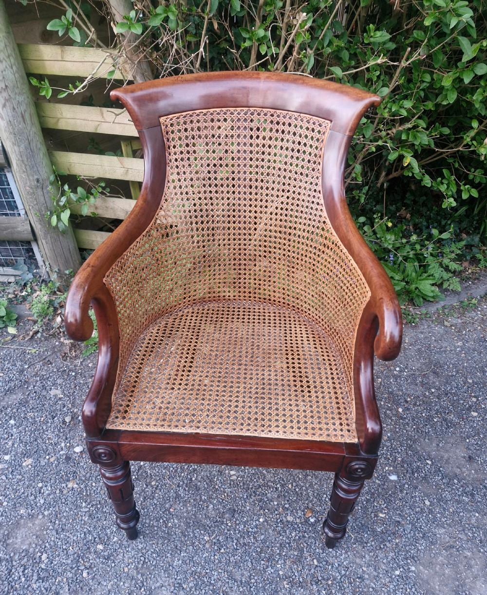 Regency mahogany bergere library armchair.  View VI
