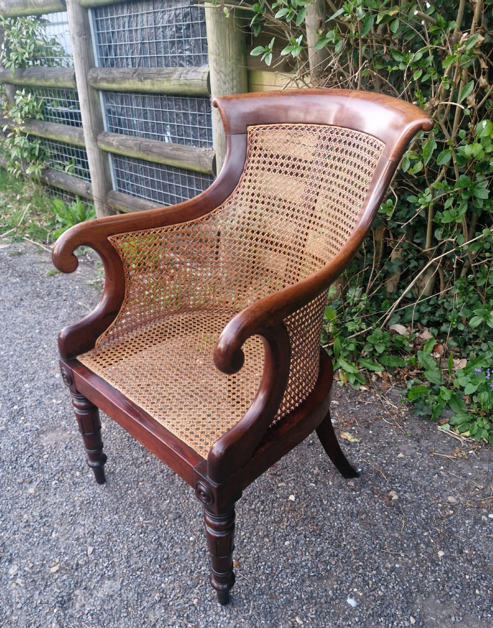 Regency mahogany bergere library armchair.  View XIV