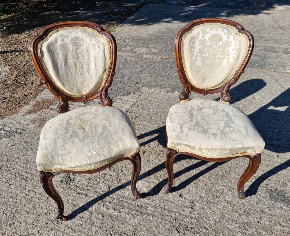 A pair of 19th-century Rococo Revival side chairs with carved dark wood frames, cabriole legs, and cream damask upholstered seats and backrests.