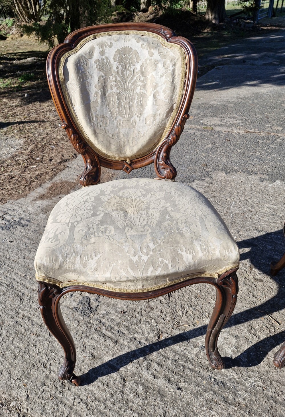 A pair of 19th-century Rococo Revival side chairs with carved dark wood frames, cabriole legs, and cream damask upholstered seats and backrests. View IV