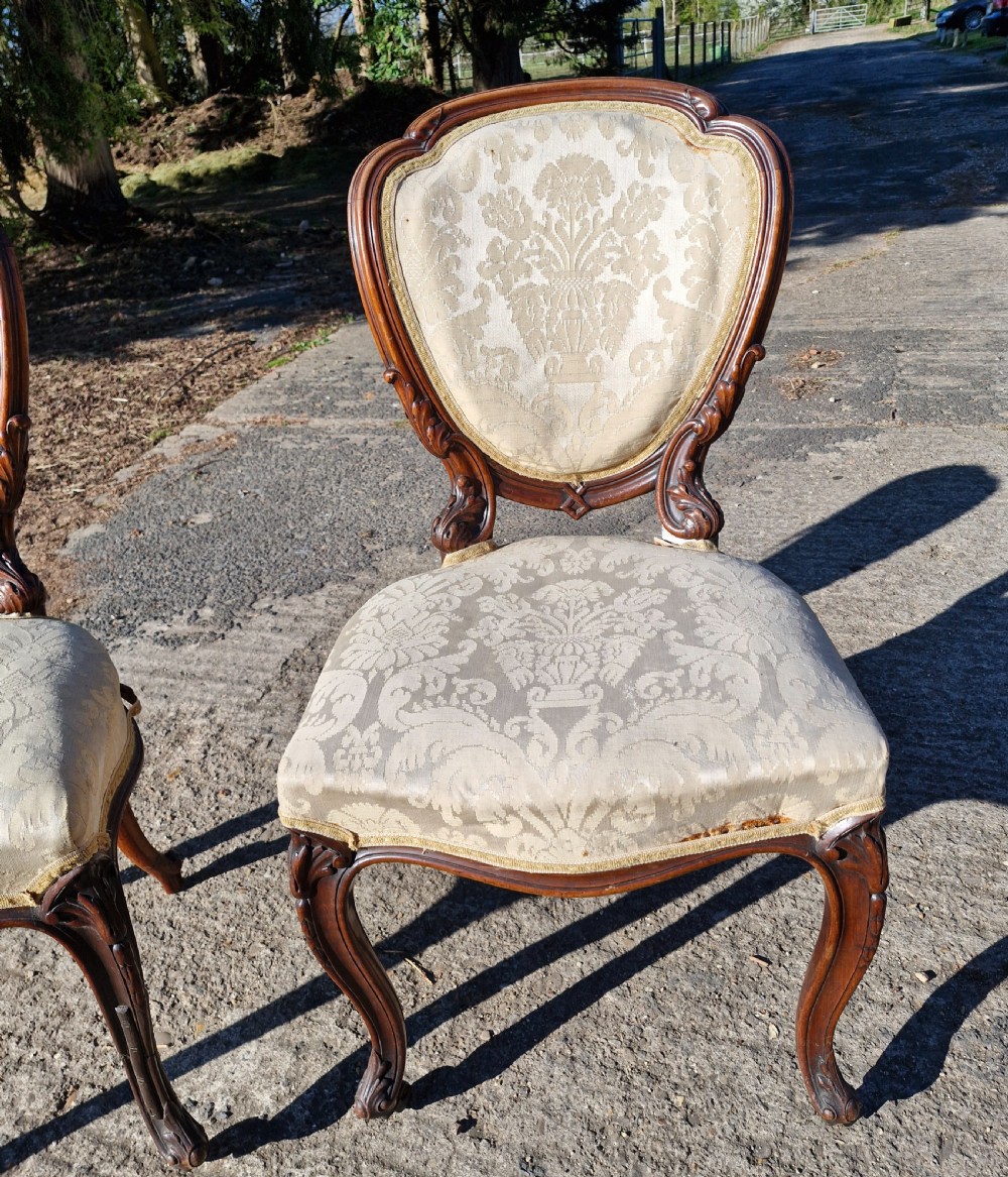 A pair of 19th-century Rococo Revival side chairs with carved dark wood frames, cabriole legs, and cream damask upholstered seats and backrests. View V