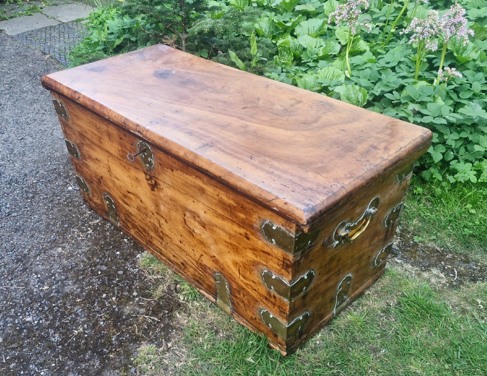 19th century camphor wood and satinwood travelling trunk.