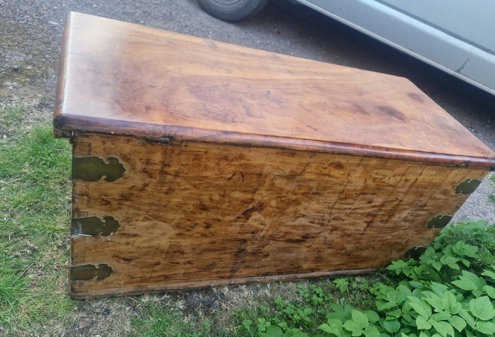 19th century camphor wood and satinwood travelling trunk. View III