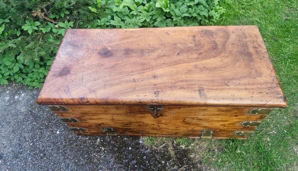 19th century camphor wood and satinwood travelling trunk. View IV