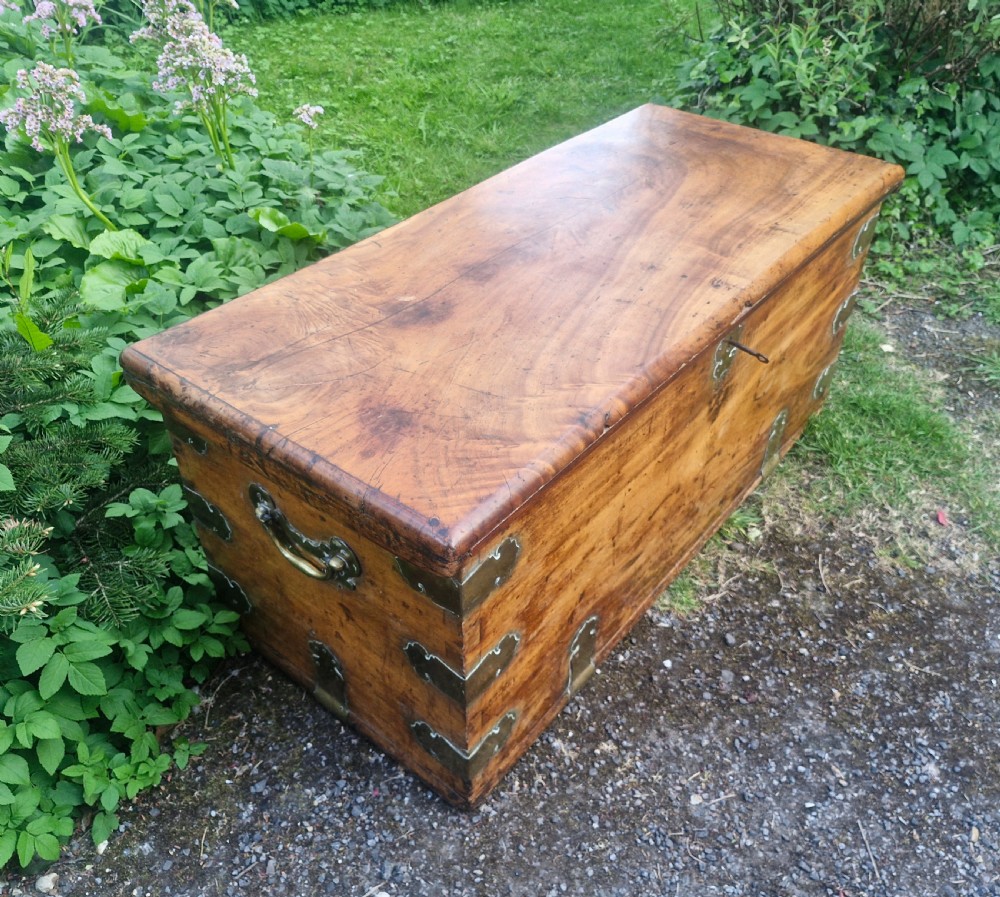19th century camphor wood and satinwood travelling trunk. View V