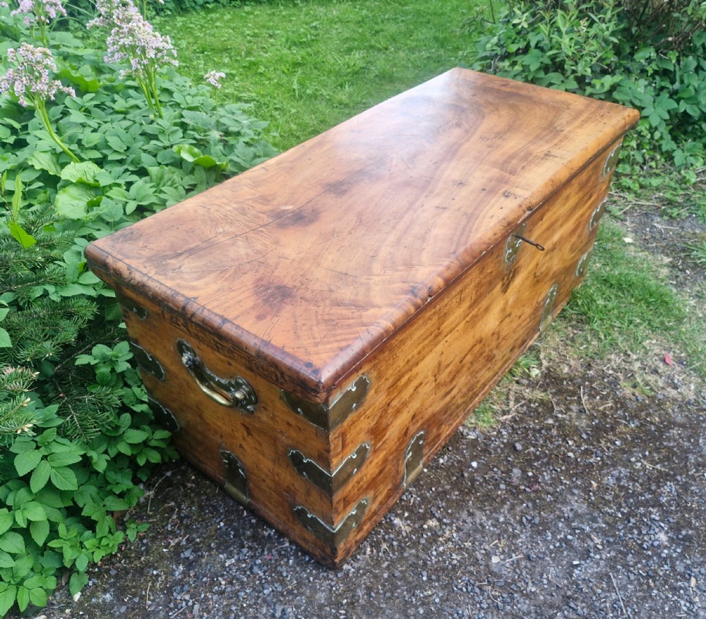 19th century camphor wood and satinwood travelling trunk. View VI