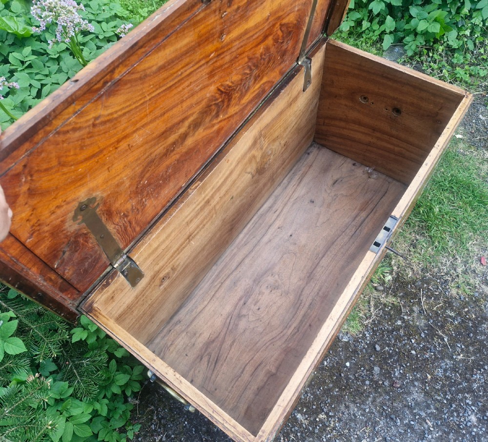 19th century camphor wood and satinwood travelling trunk. View VII