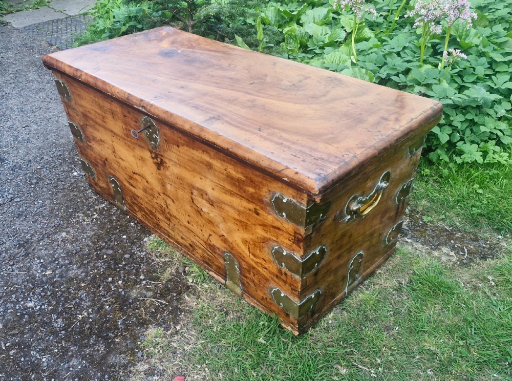 19th century camphor wood and satinwood travelling trunk. View VIII