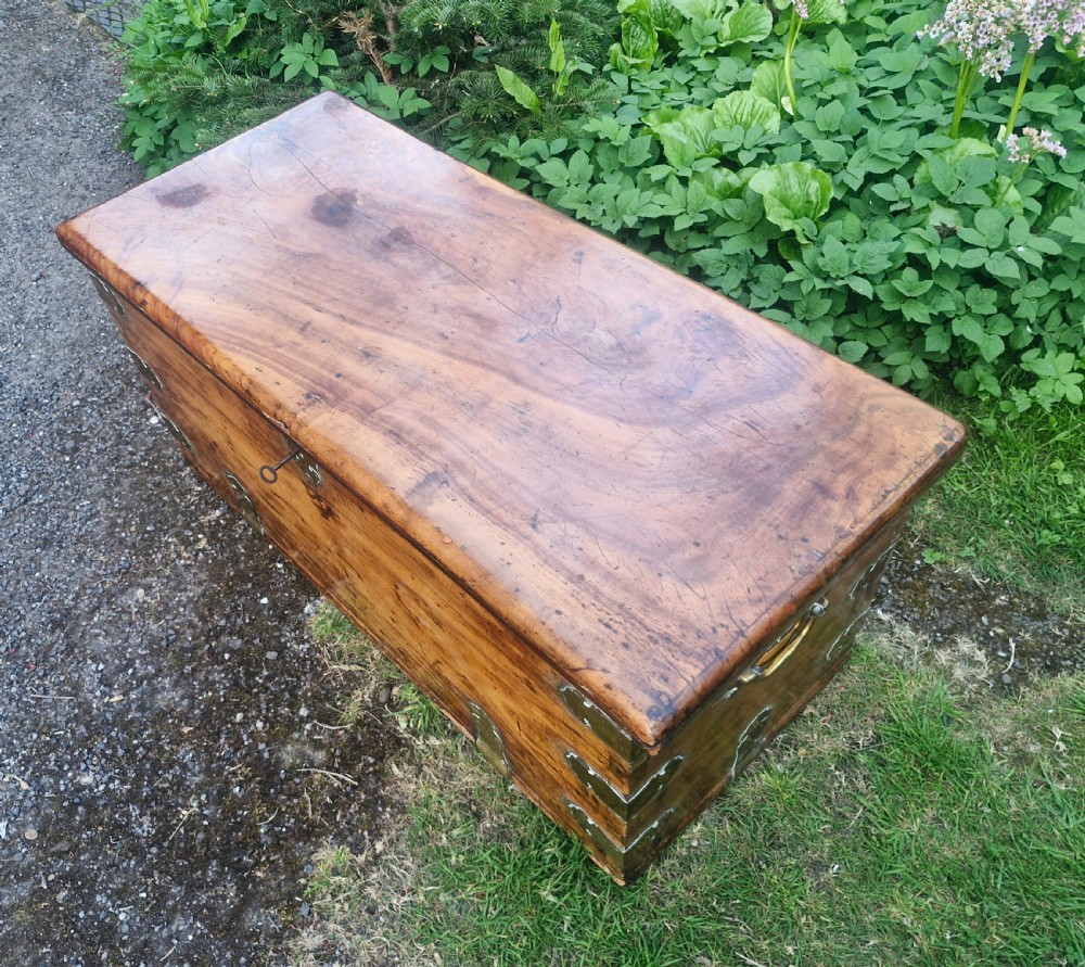 19th century camphor wood and satinwood travelling trunk. View IX