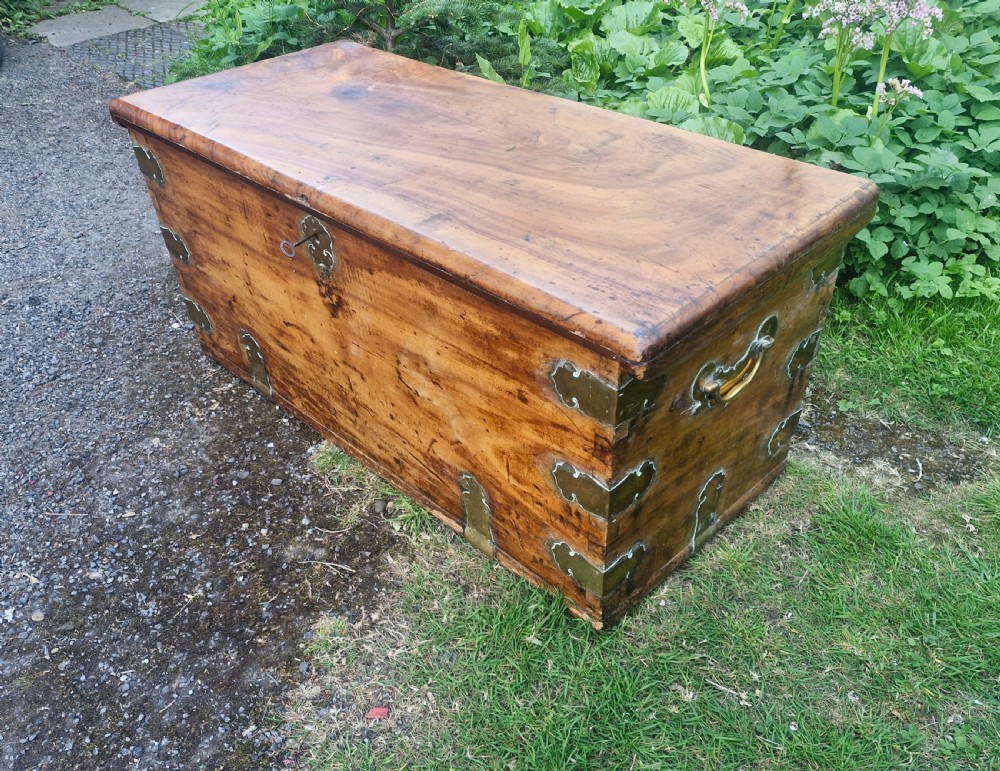 19th century camphor wood and satinwood travelling trunk. View X