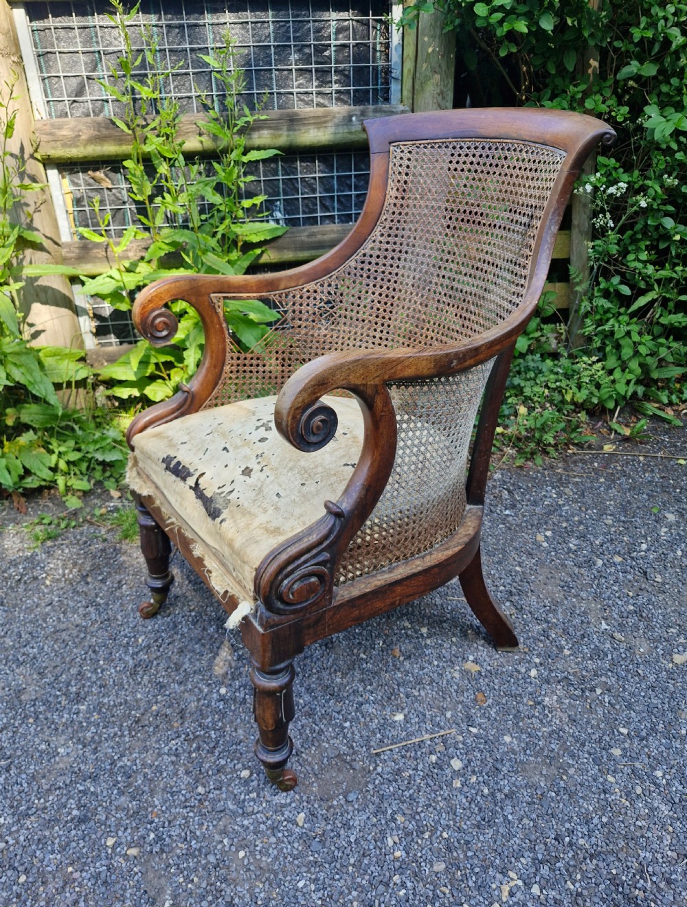 Regency rosewood caned bergere armchair. 