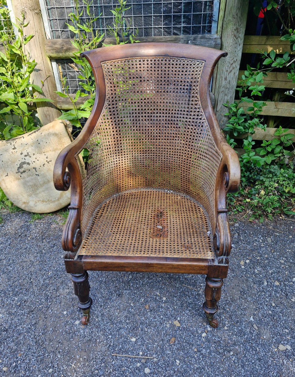 Regency rosewood caned bergere armchair.  View II