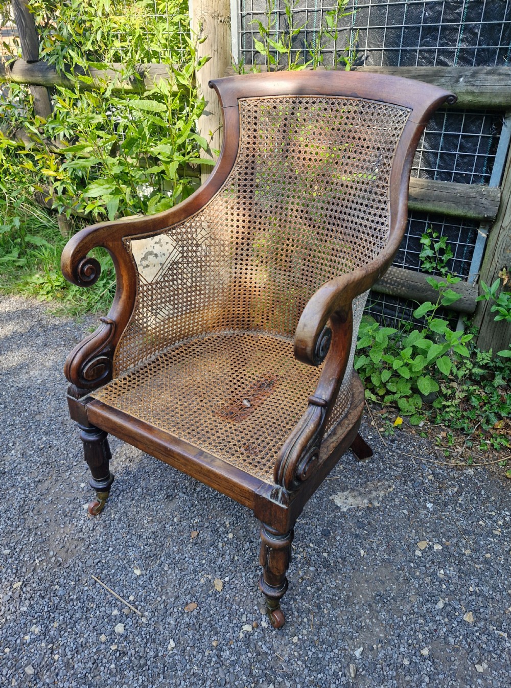 Regency rosewood caned bergere armchair.  View III