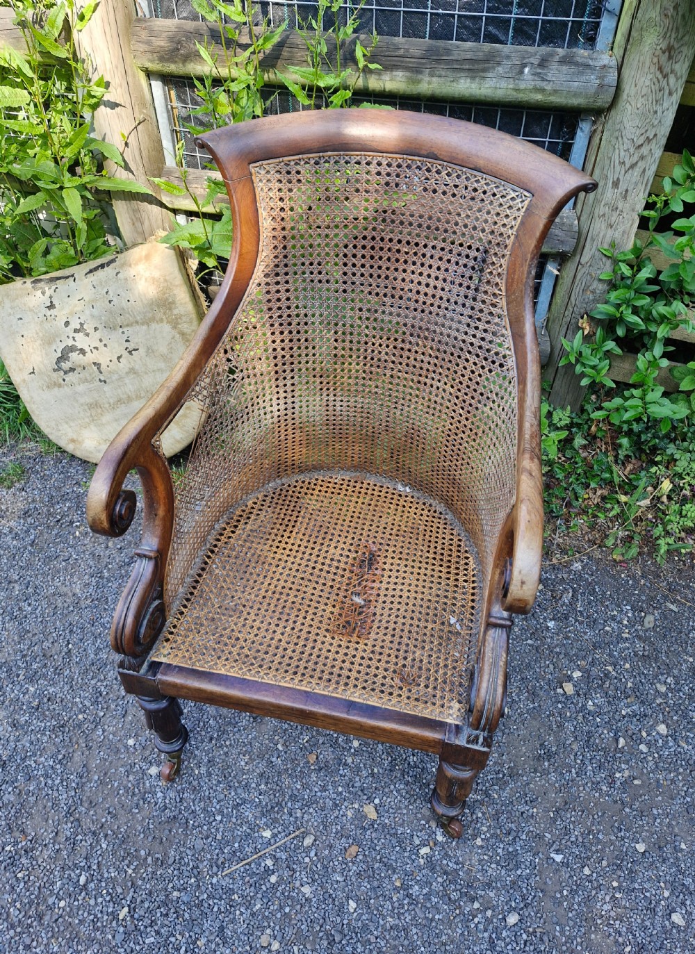 Regency rosewood caned bergere armchair.  View IV