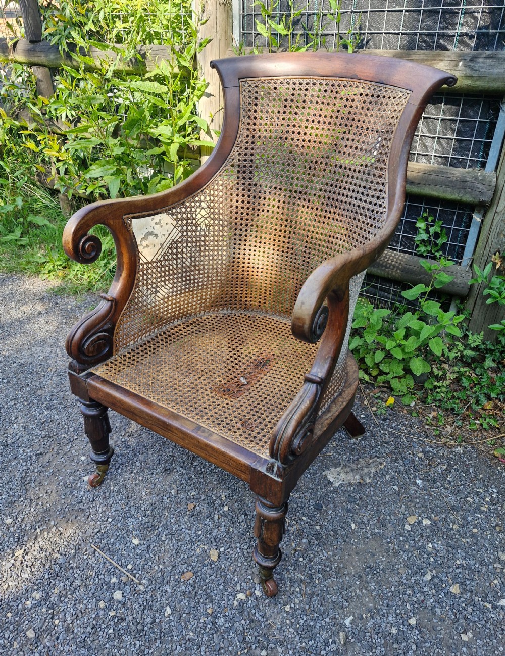 Regency rosewood caned bergere armchair.  View V