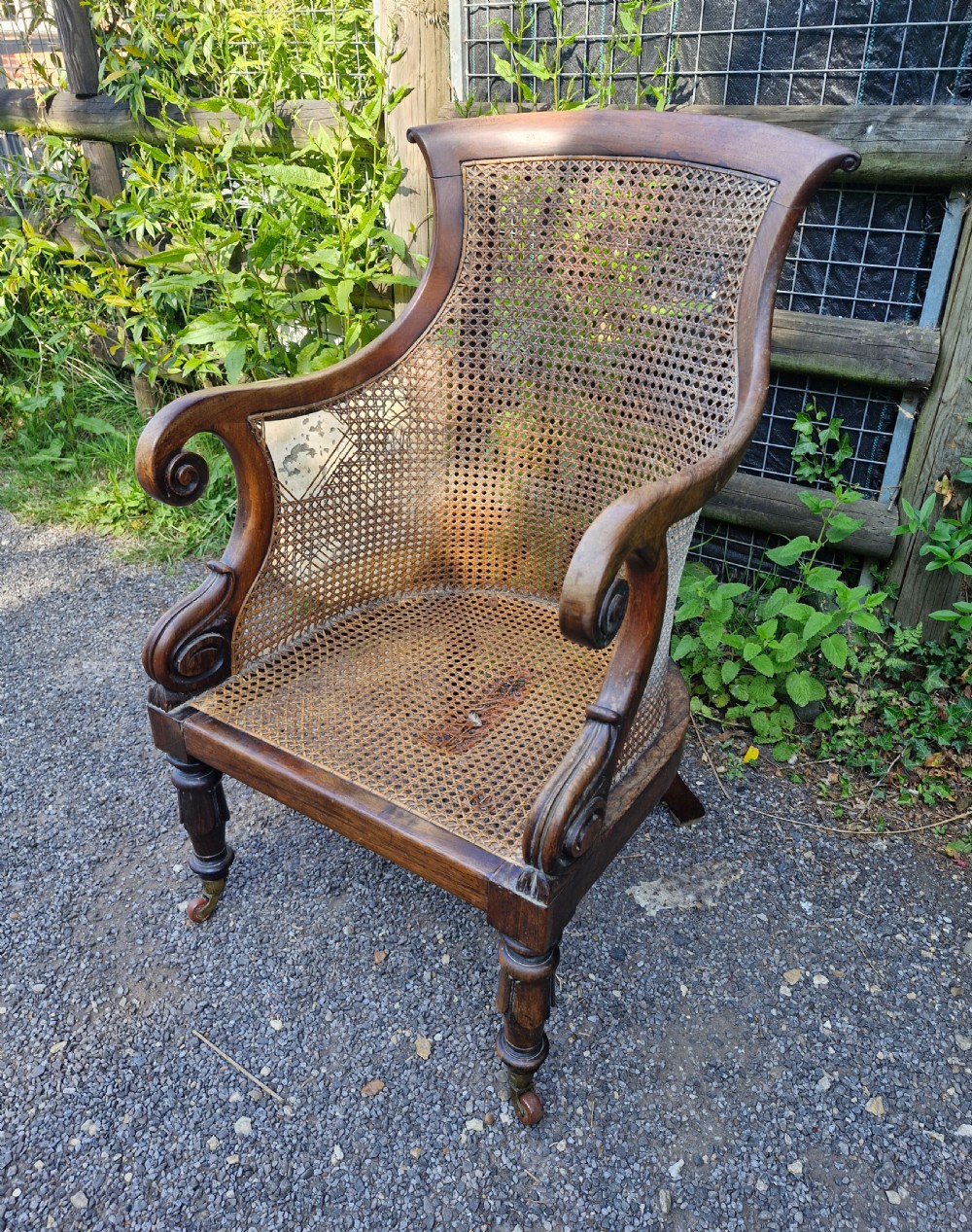 Regency rosewood caned bergere armchair.  View VI