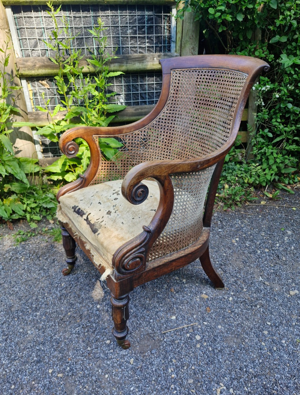 Regency rosewood caned bergere armchair.  View VII